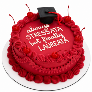 Torta di Laurea 11